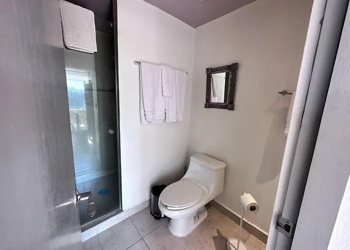 Apartment Absolute Location In Cdmx Mexico City