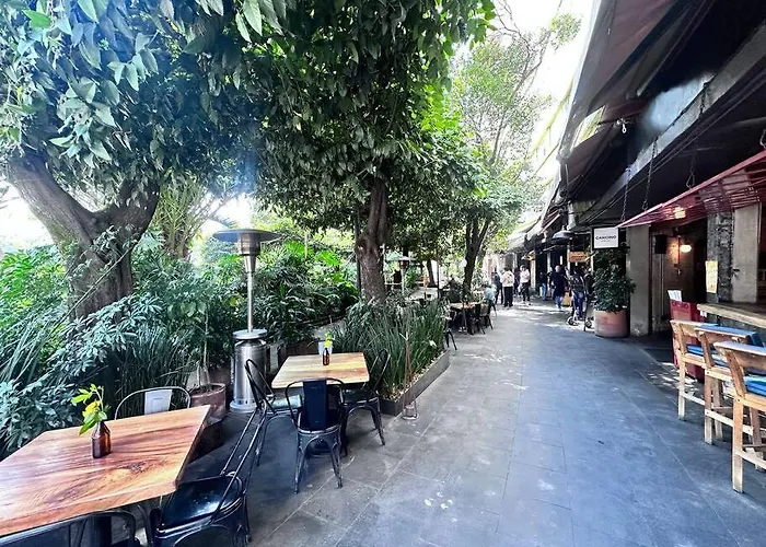 Absolute Location In Cdmx Mexico City